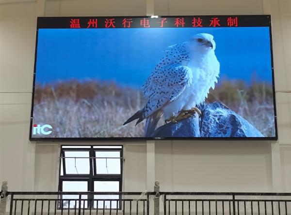 醫(yī)院體育館比分顯示屏