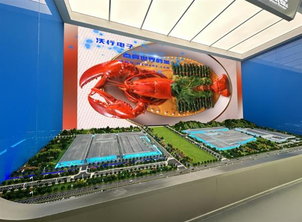 沉浸式沙盤背景